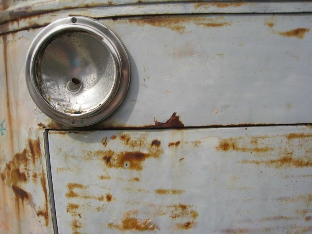 The Belugas are Watching 1